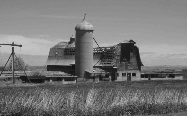 Barn